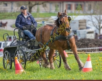 1POSIEUX 0402
